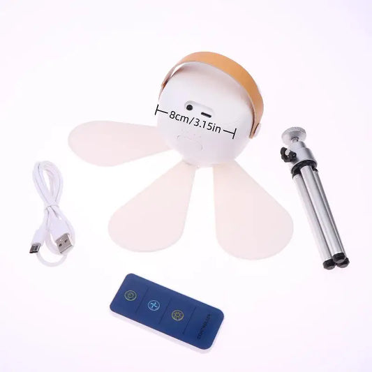 Ventilateur de plafond, télécommande sans fil, USB, lampe de chevet, dortoir, petite lampe de nuit portable, ventilateur électrique.